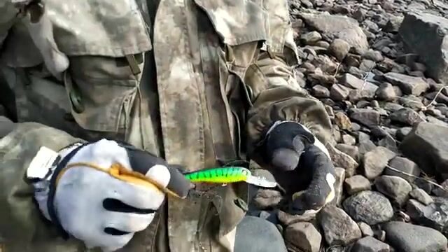 Поездка на Онегу и Ладогу