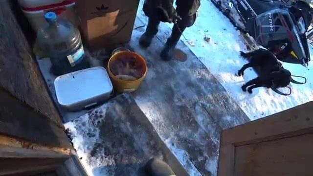 Зимний лагерь на Онеге и поездка за окунем
