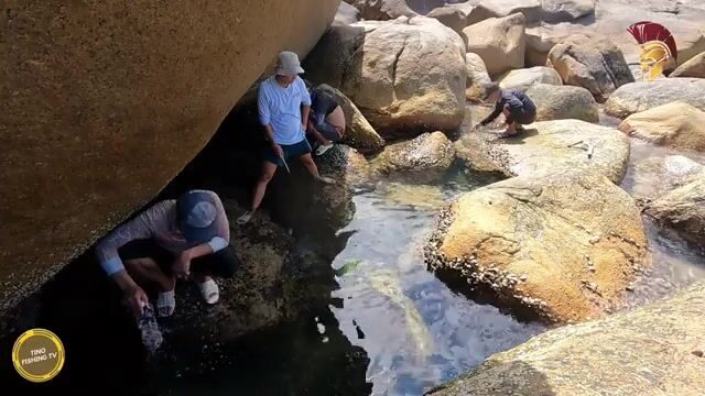 В Ниньтхуане шли через перевал и добыли морского угря на запах ставриды