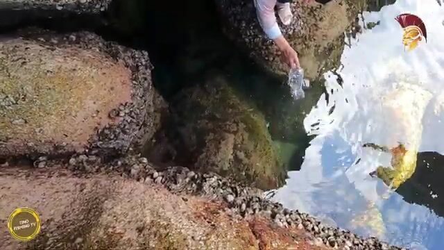 В Ниньтхуане шли через перевал и добыли морского угря на запах ставриды