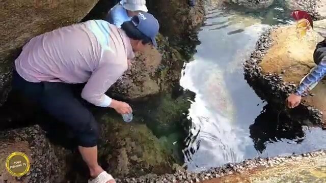 В Ниньтхуане шли через перевал и добыли морского угря на запах ставриды
