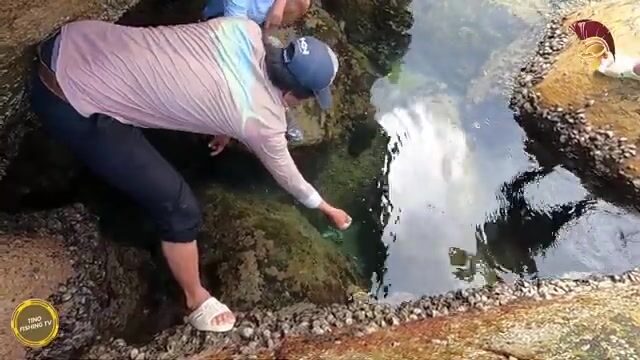 В Ниньтхуане шли через перевал и добыли морского угря на запах ставриды