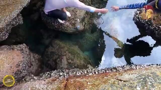 В Ниньтхуане шли через перевал и добыли морского угря на запах ставриды
