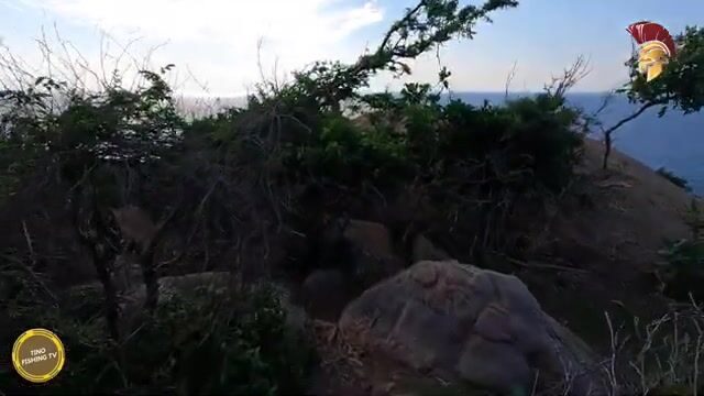 В Ниньтхуане шли через перевал и добыли морского угря на запах ставриды