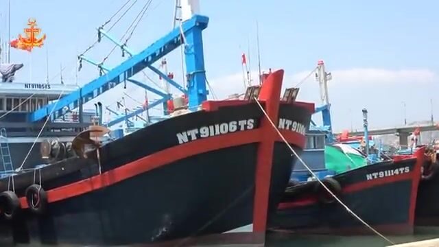 Рыбу-саблю сортировали и грузили в порту Ниньчу