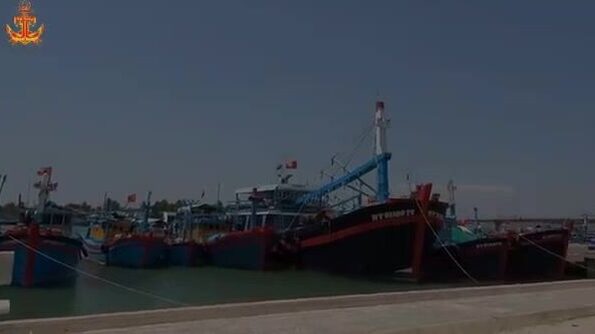 Рыбу-саблю сортировали и грузили в порту Ниньчу