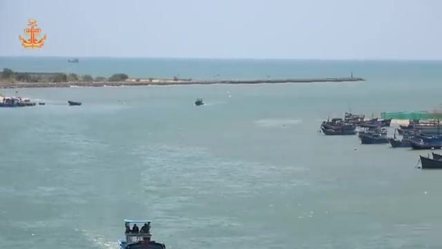 Рыбу-саблю сортировали и грузили в порту Ниньчу