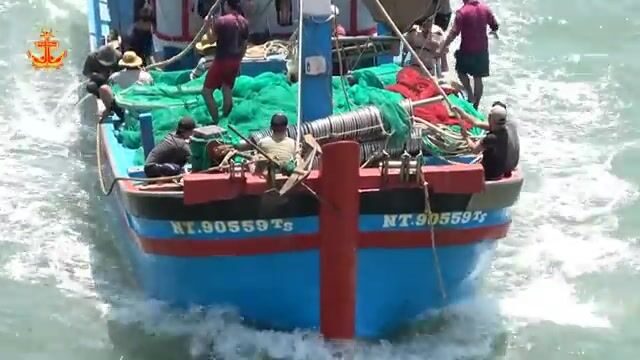 Рыбу-саблю сортировали и грузили в порту Ниньчу
