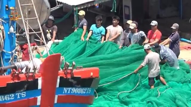 Рыбу-саблю сортировали и грузили в порту Ниньчу