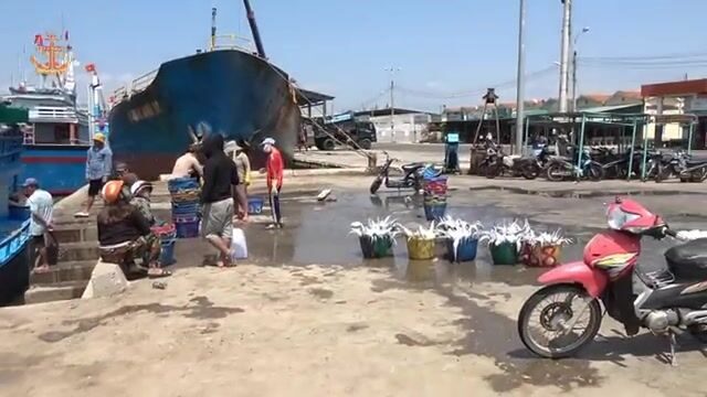 Рыбу-саблю сортировали и грузили в порту Ниньчу