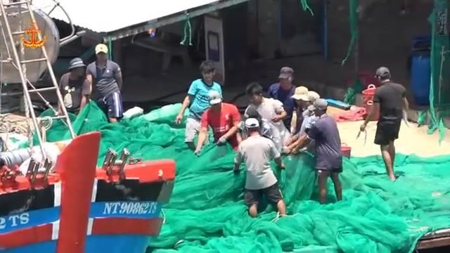 Рыбу-саблю сортировали и грузили в порту Ниньчу