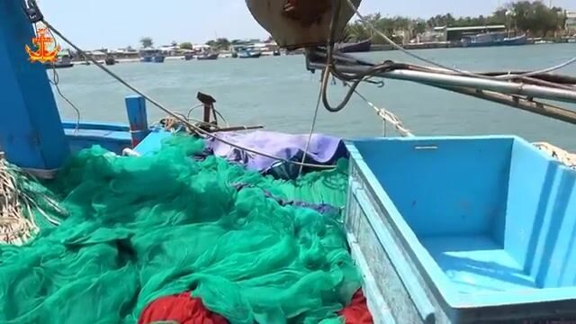 Рыбу-саблю сортировали и грузили в порту Ниньчу