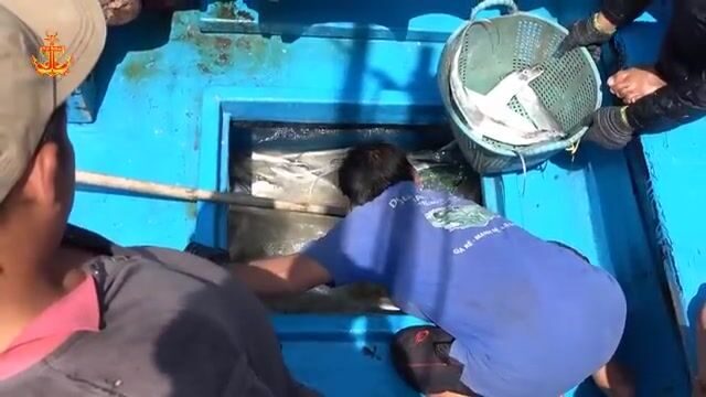 Рыбу-саблю сортировали и грузили в порту Ниньчу