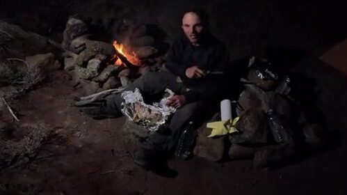 С уступа на южном побережье Австралии достали синего губана