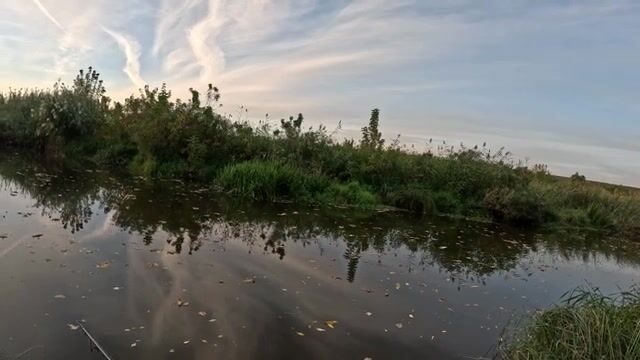 На канале Шио мы разловились маленьким судаком и поймали первого голавля