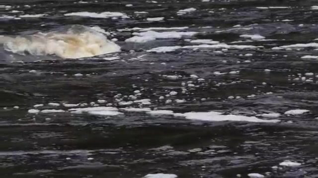 На Биг-Ривере в Лабрадоре лосось брал после смены мушки