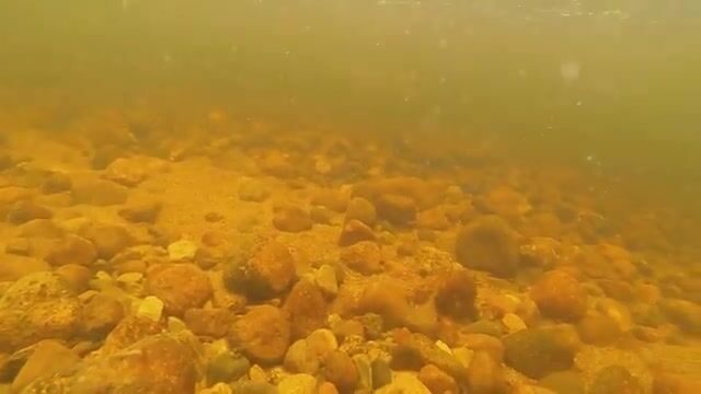 На Биг-Ривере в Лабрадоре лосось брал после смены мушки