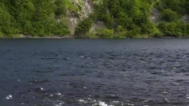 На Биг-Ривере в Лабрадоре лосось брал после смены мушки