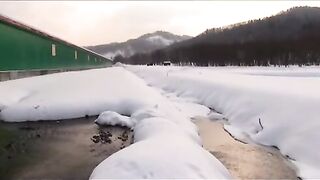 Невельск, Сахалин: рыбоводство и выбор морской рыбалки