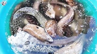 Ниньчу, Вьетнам: рынок, лодочные гонки и день у Виньхи