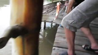 Катба, Вьетнам: островная рыбалка и день в бухте