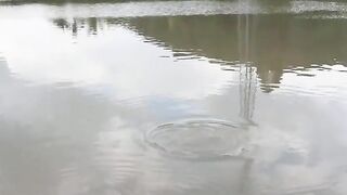 Катба, Вьетнам: островная рыбалка и день в бухте