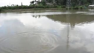 Катба, Вьетнам: островная рыбалка и день в бухте