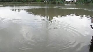 Катба, Вьетнам: островная рыбалка и день в бухте