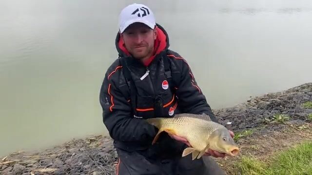 Наш первый день на Walterland Masters в Сегеде