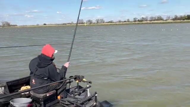 Наш первый день на Walterland Masters в Сегеде