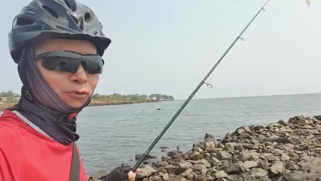 Три каранкса на скалах у Баты, пока прилив не поднялся