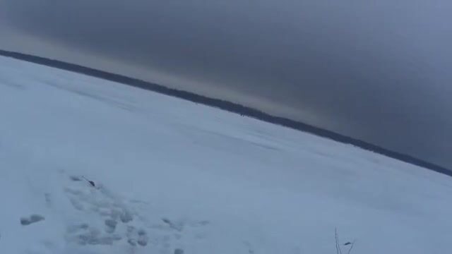 На Онеге мы прикормили лунки и ждали плотву