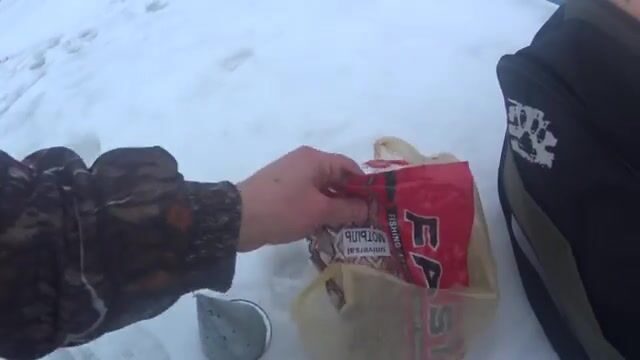 На Онеге мы прикормили лунки и ждали плотву