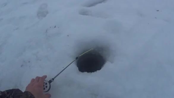 На Онеге мы прикормили лунки и ждали плотву