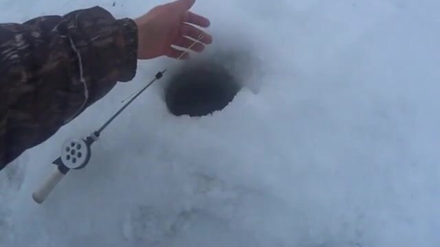 На Онеге мы прикормили лунки и ждали плотву