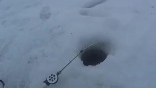 На Онеге мы прикормили лунки и ждали плотву