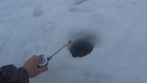 На Онеге мы прикормили лунки и ждали плотву