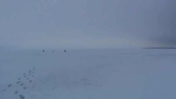 На Онеге мы прикормили лунки и ждали плотву