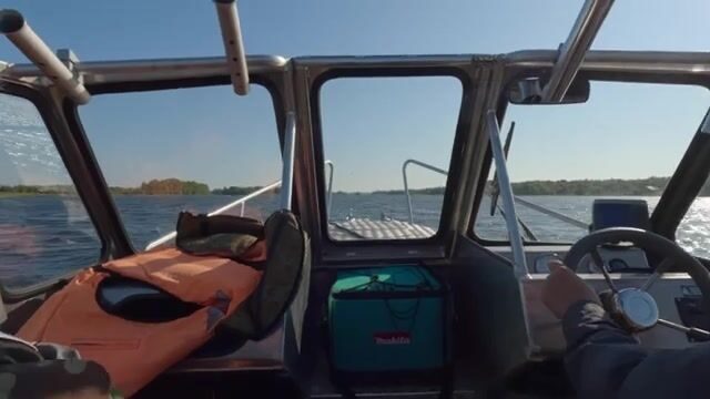 Упрямый окунь на Онеге: выходы за блесной и эксперименты с приманками