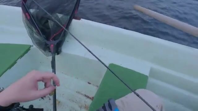 Упрямый окунь на Онеге: выходы за блесной и эксперименты с приманками