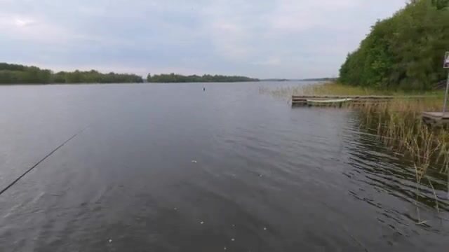 Упрямый окунь на Онеге: выходы за блесной и эксперименты с приманками