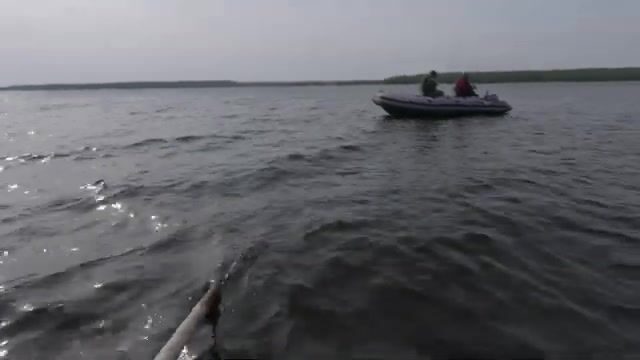 Упрямый окунь на Онеге: выходы за блесной и эксперименты с приманками