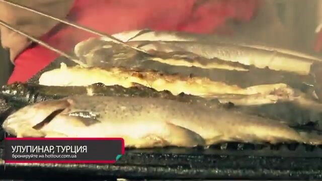 Поймали форель в горной речке Улупинара и отпустили