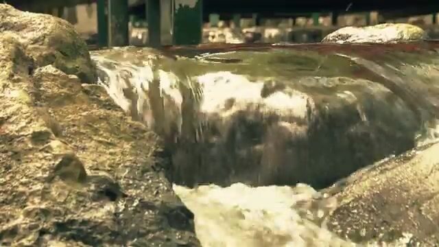 Поймали форель в горной речке Улупинара и отпустили