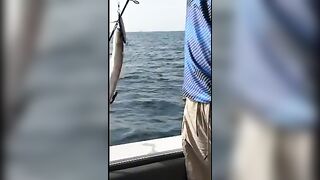 В Ашдоде на живого тарахуна взяла первая пеламида