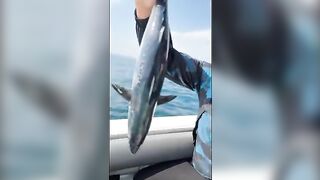 В Ашдоде на живого тарахуна взяла первая пеламида