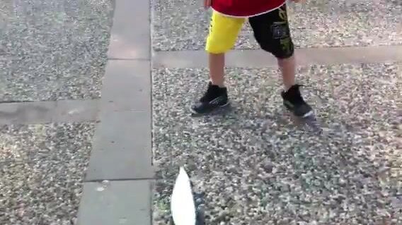В Ялыкаваке мы подняли иглобрюха и уехали по делам