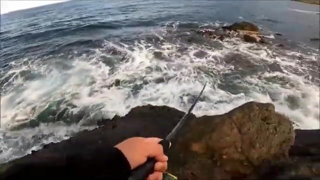 Вечерний выход в Инджебуруне дал луфарей на джиг и блесну