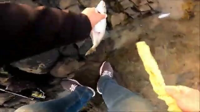 Вечерний выход в Инджебуруне дал луфарей на джиг и блесну