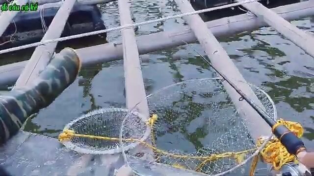Вдвоем на нанятой лодке перебирали плоты в Туанчау